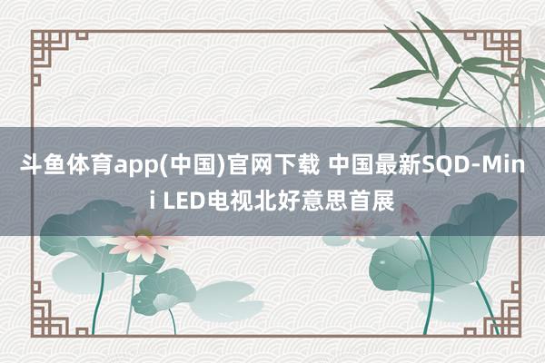 斗鱼体育app(中国)官网下载 中国最新SQD-Mini LED电视北好意思首展