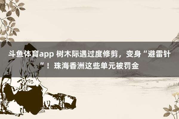 斗鱼体育app 树木际遇过度修剪，变身“避雷针”！珠海香洲这些单元被罚金