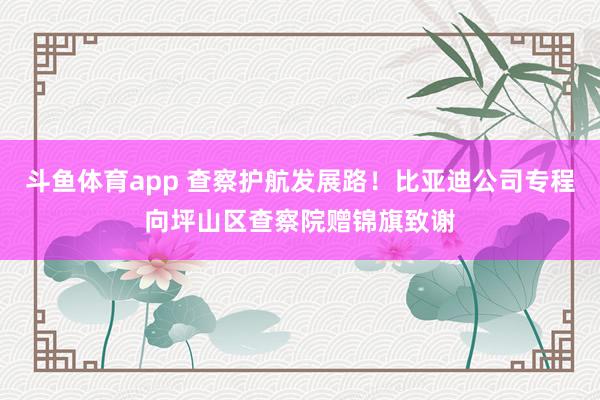 斗鱼体育app 查察护航发展路！比亚迪公司专程向坪山区查察院赠锦旗致谢