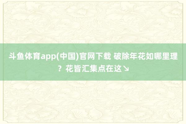 斗鱼体育app(中国)官网下载 破除年花如哪里理？花皆汇集点在这↘
