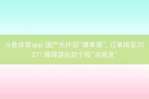 斗鱼体育app 国产光纤迎“爆单潮”， 订单排至2027! 障碍游后劲个股“点将录”