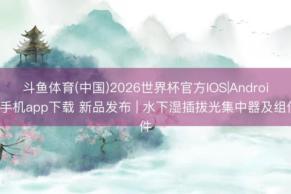 斗鱼体育(中国)2026世界杯官方IOS|Android手机app下载 新品发布 | 水下湿插拔光集中器及组件