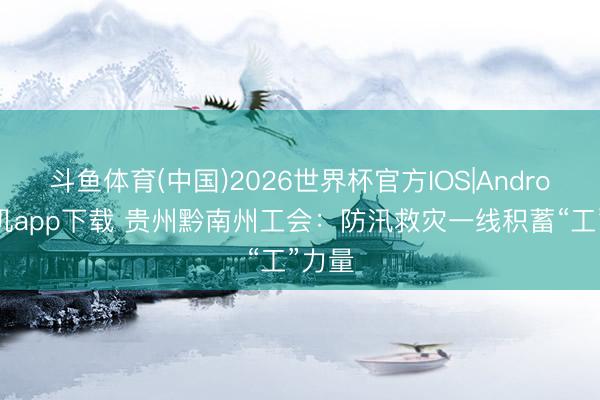 斗鱼体育(中国)2026世界杯官方IOS|Android手机app下载 贵州黔南州工会：防汛救灾一线积蓄“工”力量